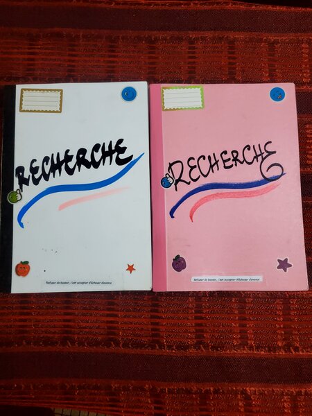 Cahier de Recherche Coloré