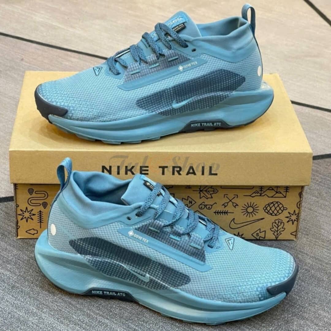 Nike Trail GTX Baskets Bleu