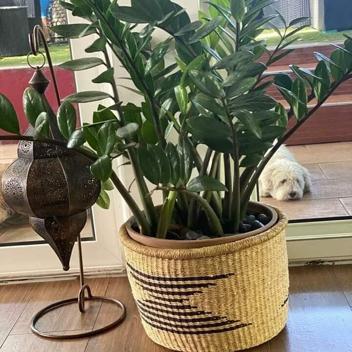 Hand woven Decor baskets