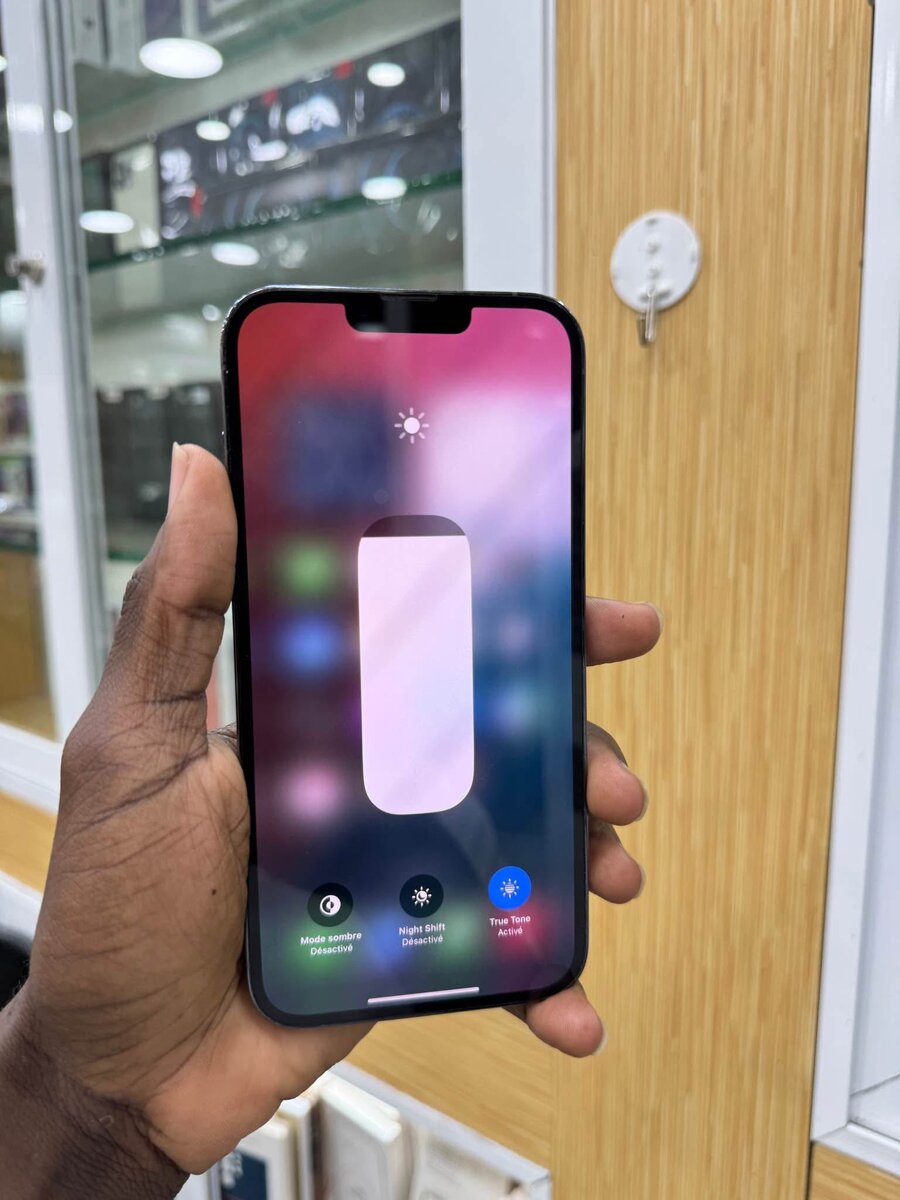 iPhone haut de gamme 256Go