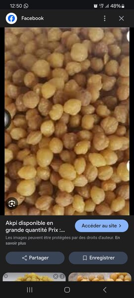 Poudre Akpi et ggingembre 1kg