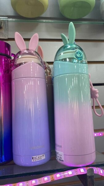 Gourdes Motivationnelles 1L