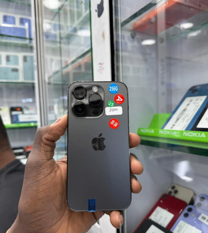 iPhone 256 Go Gris Pro Max