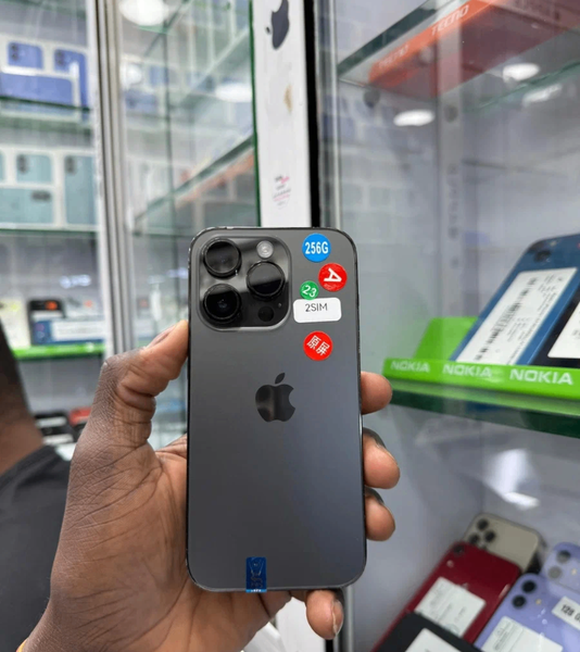 iPhone 256 Go Gris Pro Max