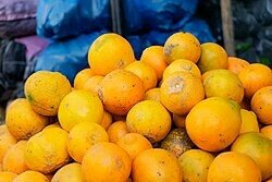 Oranges fraîches biologiques