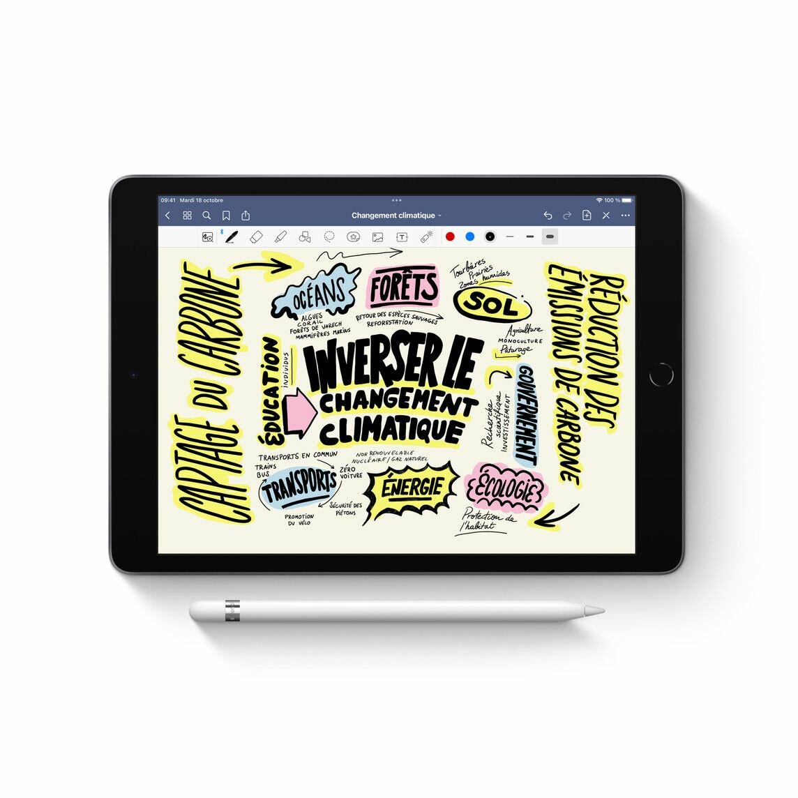 Pencil Tactile pour iPad