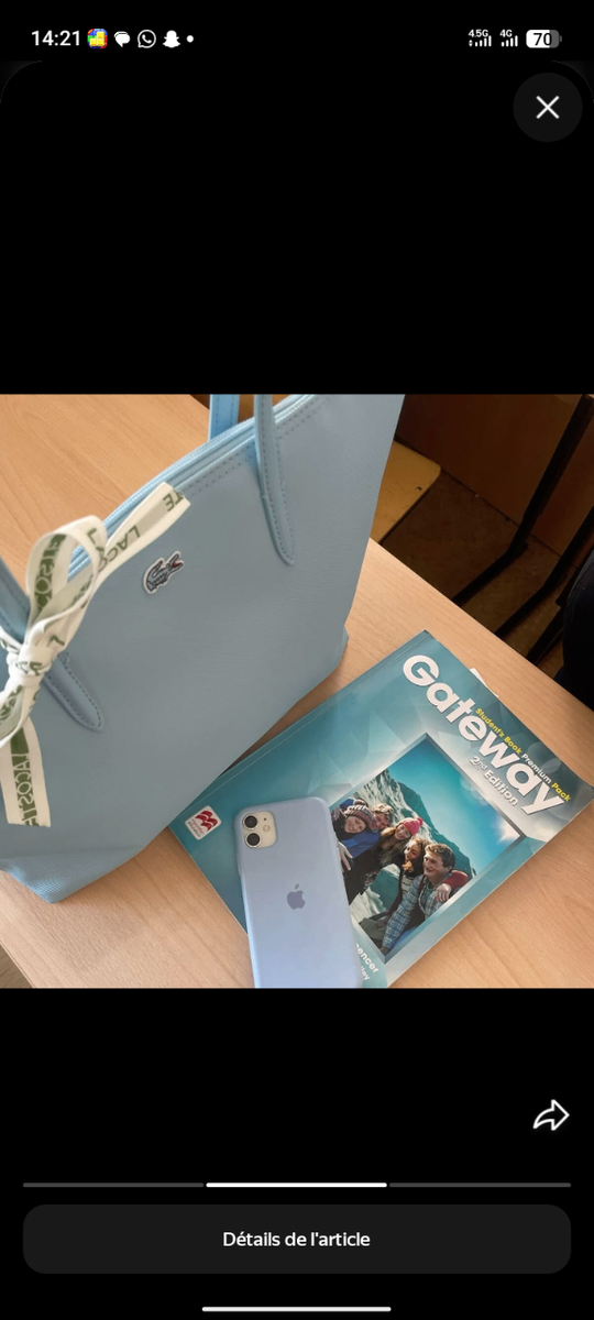 Sac cabas élégant femme