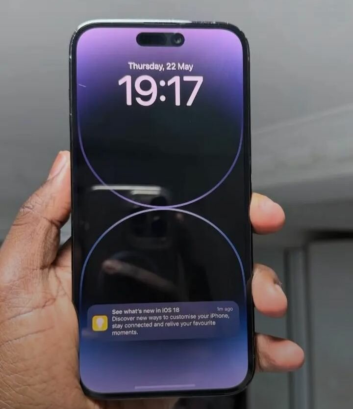 iPhone 14 Pro Max 256 Go