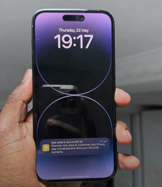 iPhone 14 Pro Max 256 Go