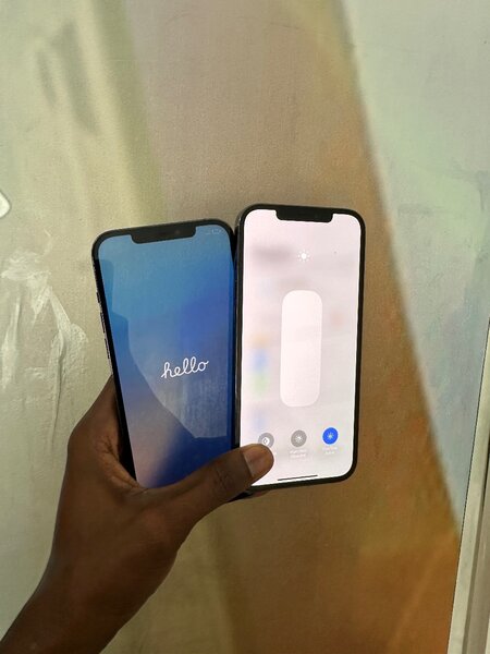 iPhone 12 Pro Max Bleu