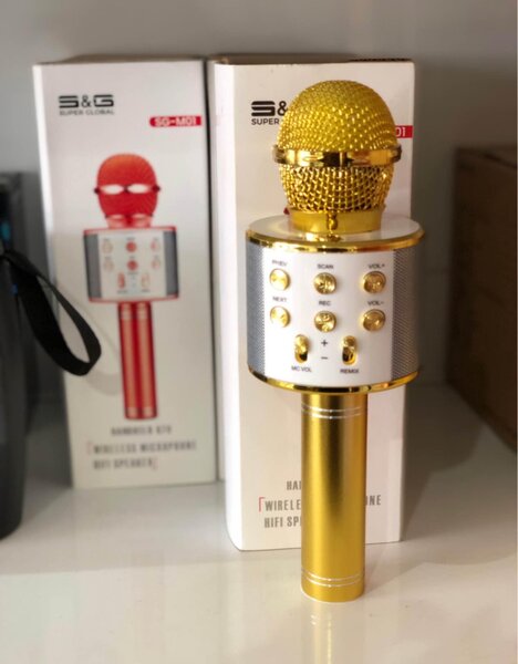 Micro baffe Karaoké SG -M01