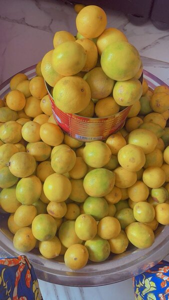 Citrons Frais et Juteux