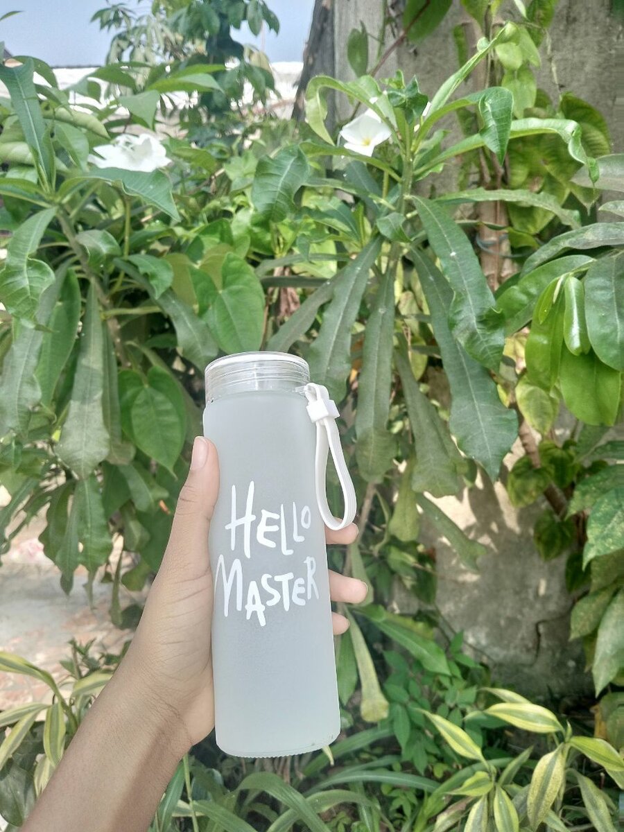 Bouteille 'Hello Master'