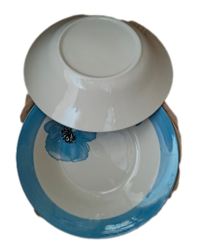 6 Assiettes cassable