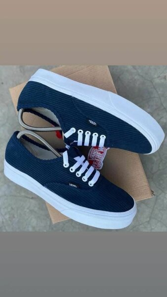 Vans authentique