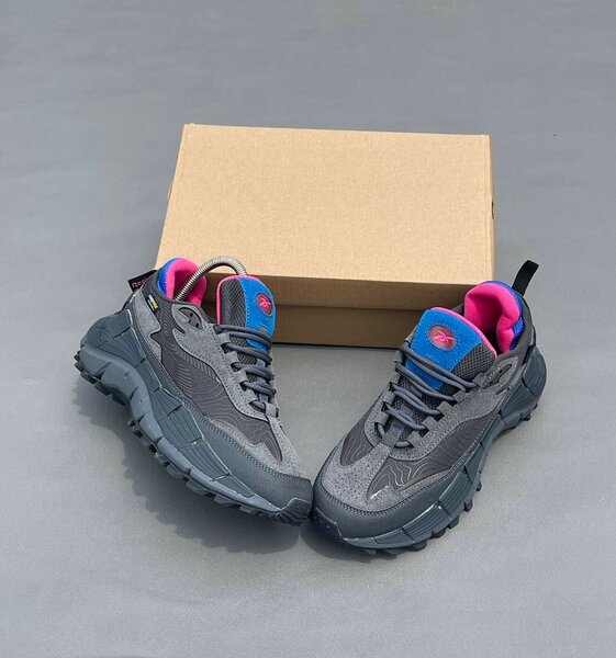 Chaussures de randonnée robustes