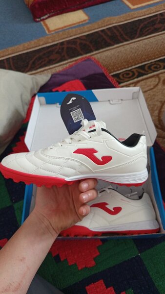 Сороконожка.