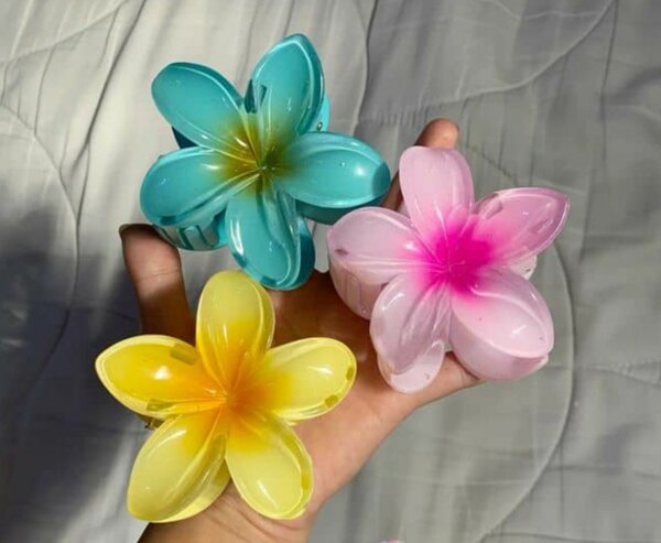 Pince a fleurs pour cheveux co