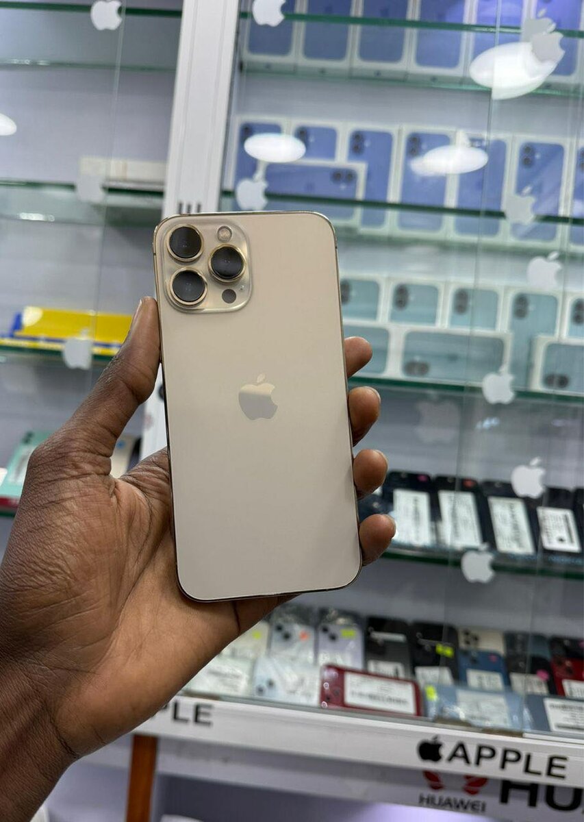 13 Pro Max 128go écran change