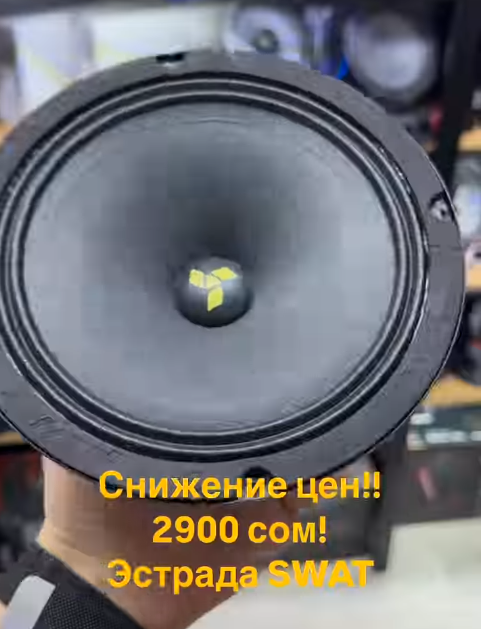 Широкополосная акустическая система SWAT SP-H6v2