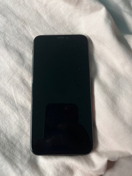 iPhone X