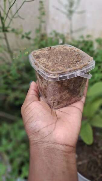 Savon noir brut Ivoirien 250G