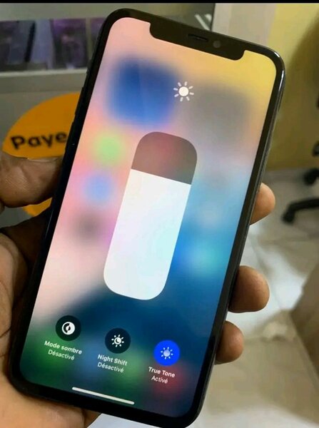 iPhone Pro Max 256 Go