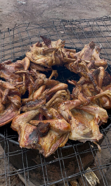 Pintade de brousse fumée