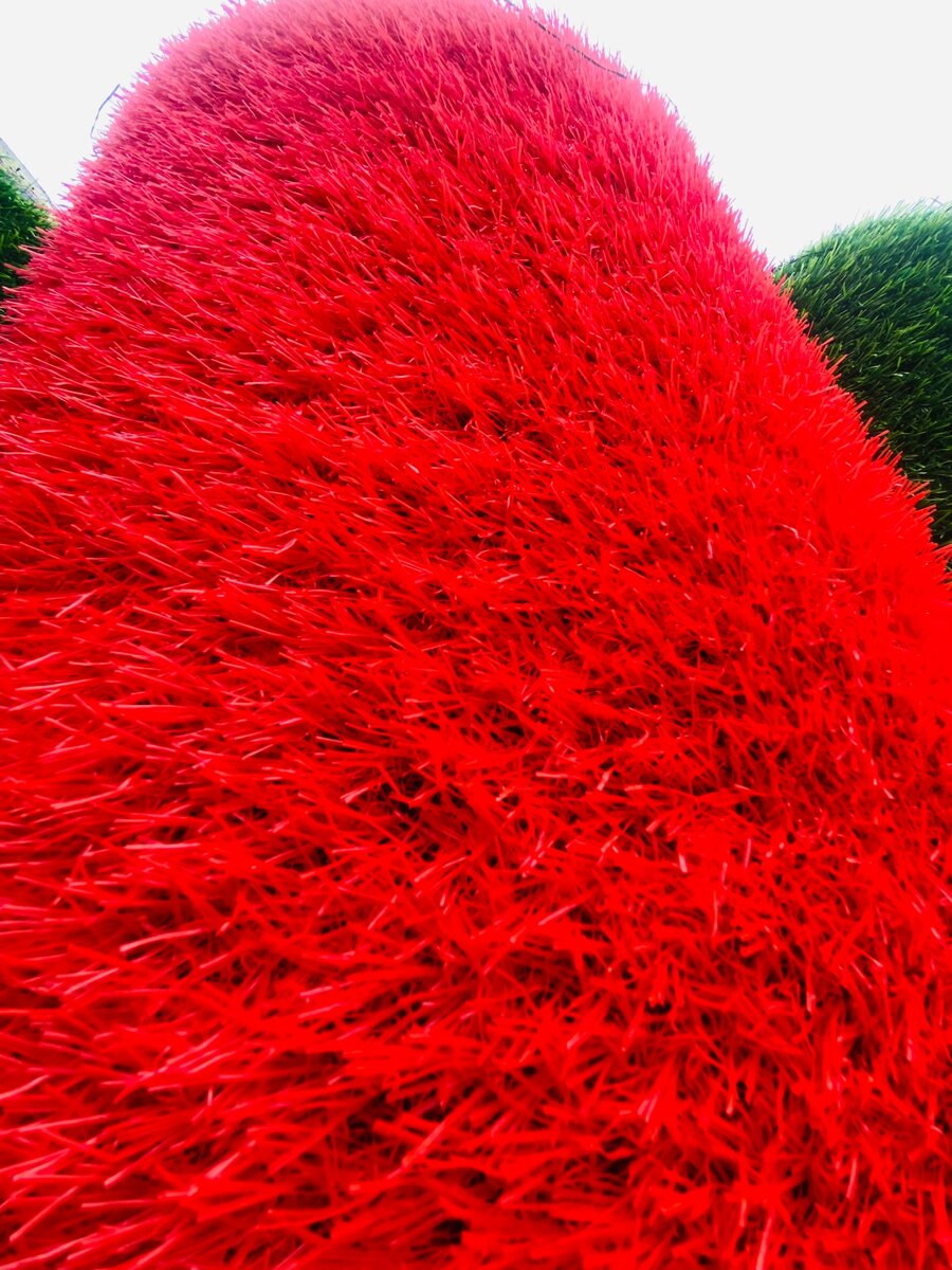 Red grass carpet