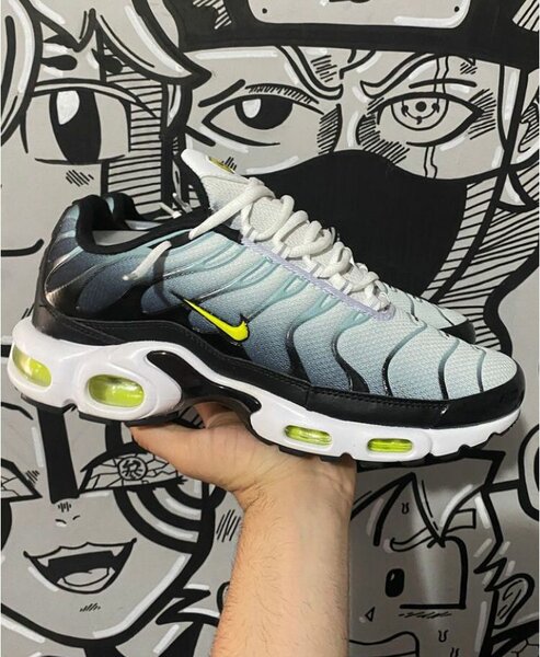 Baskets Air Max TN Colorées