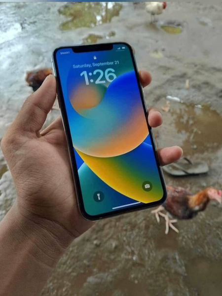 iphone X