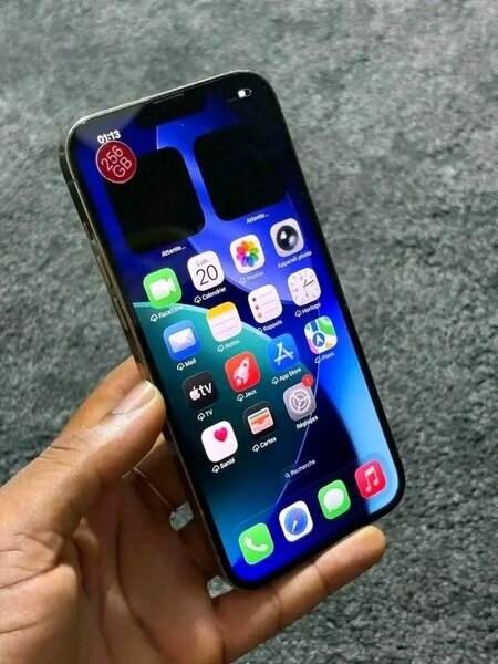 iPhone 13 Pro 256 Go