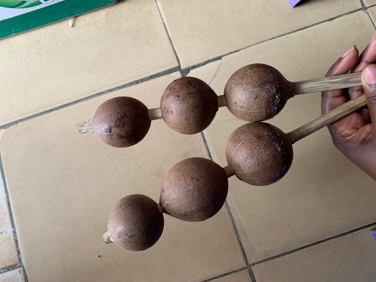 Maracase en bois naturel