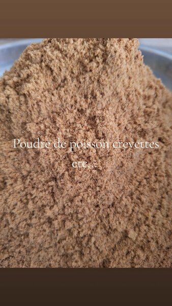 Mélange Poissons Crevettes