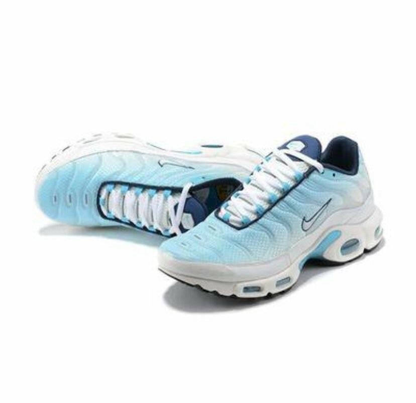 Basket NIKE TN authentique dans carton