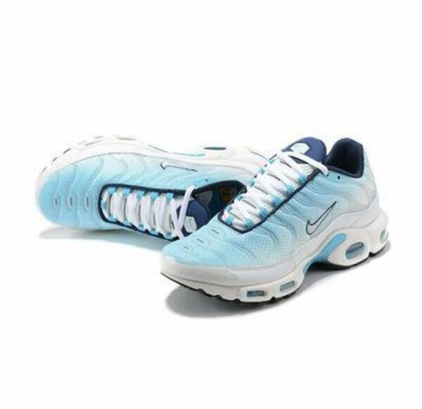 Basket NIKE TN authentique dans carton