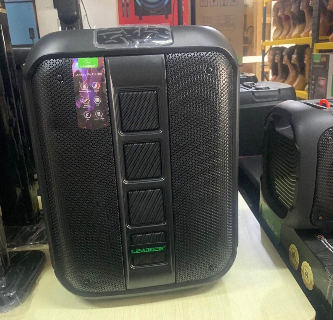 Enceinte Karaoké Bluetooth Leader