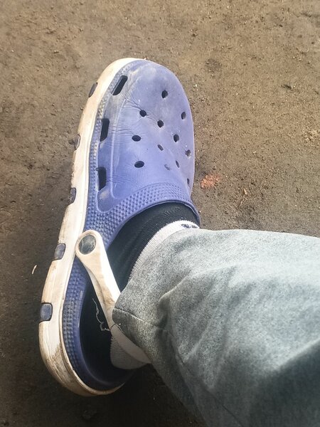 Crocs