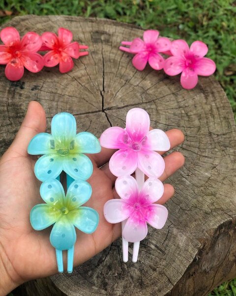 Pinces à cheveux fleurs colorées