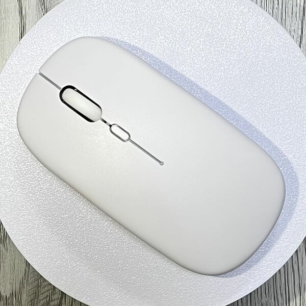 Souris sans fil ergonomique