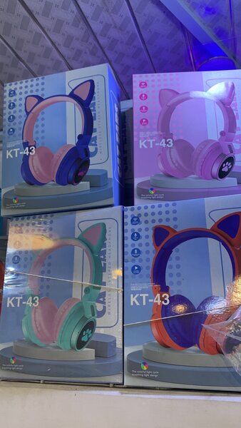 Cat ear headphones