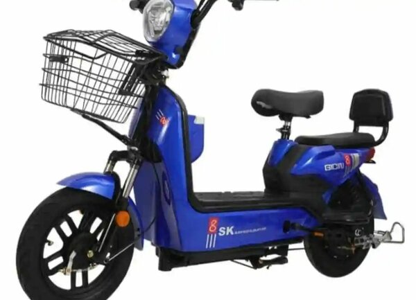 Tricycle électrique SK 3 roues