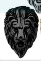  Lion Had Ring Mens & boys  black