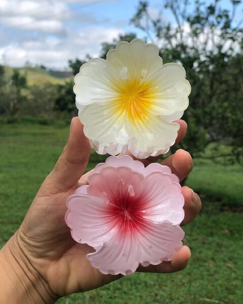 Pince à fleur