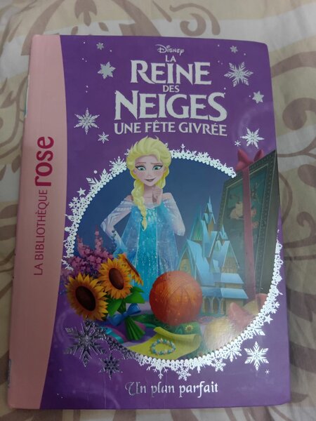 Livre Enfant Reine des Neiges