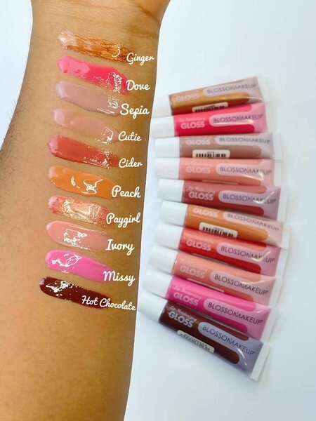 Gloss à Lèvres Palette Colors