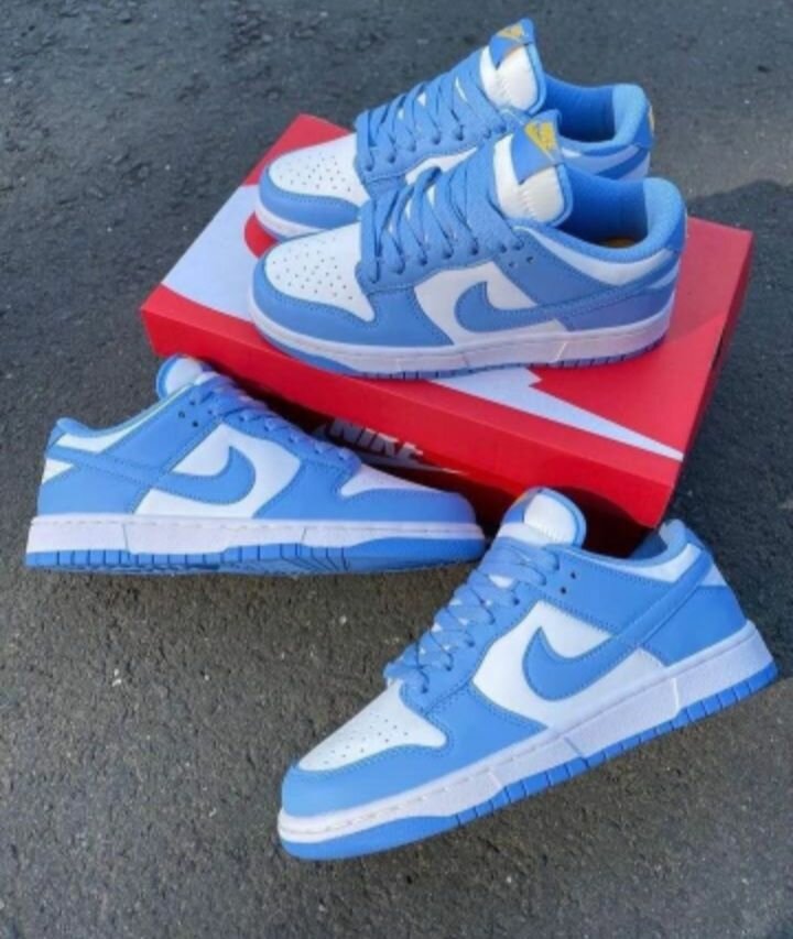 Baskets Nike Dunk élégantes