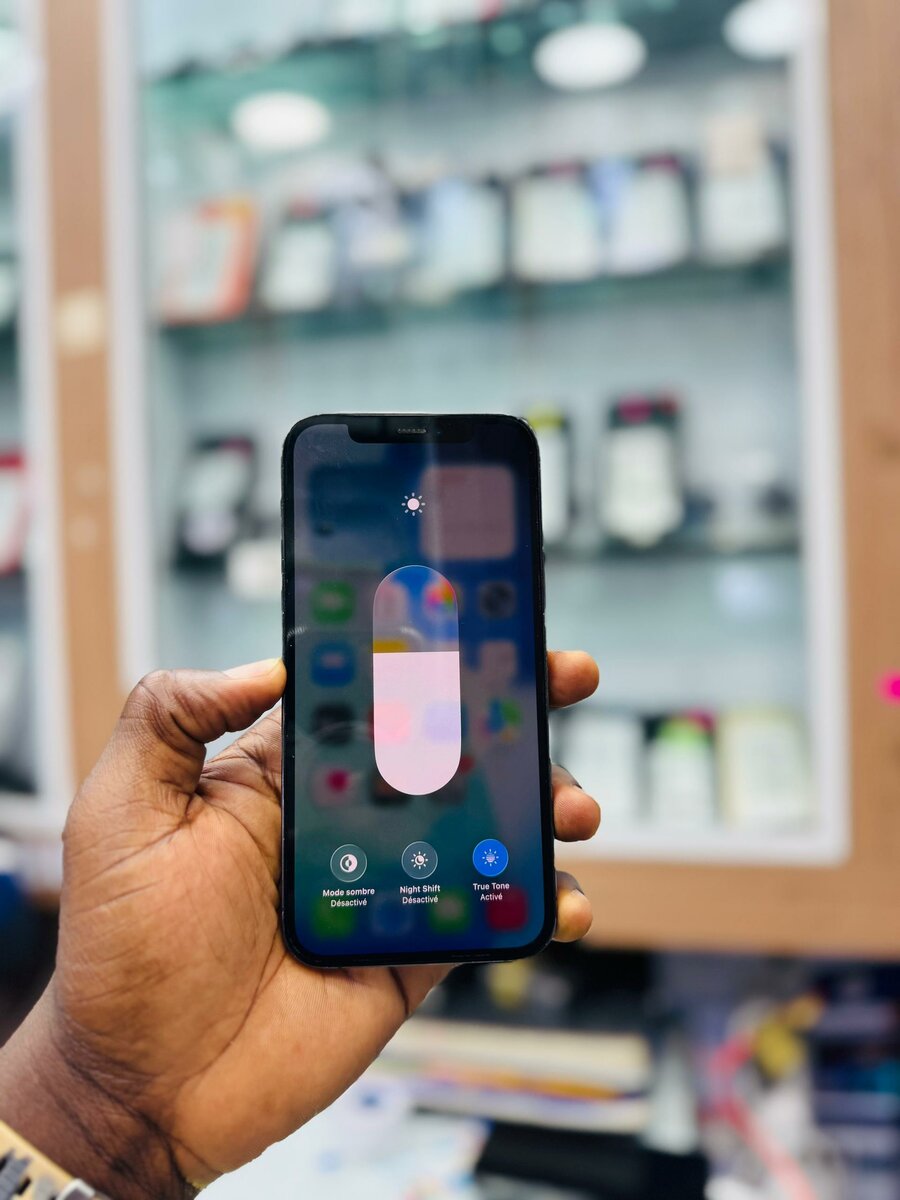 12 pro 128Go jamais démonté