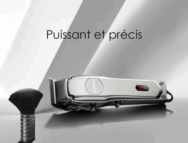 Tondeuse Électrique Professionnelle