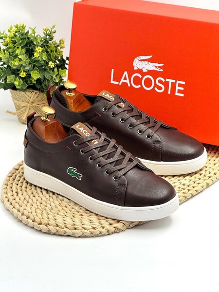 LACOSTE COFFE AND WHITE